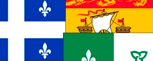 Cultural Insight banner placeholder
